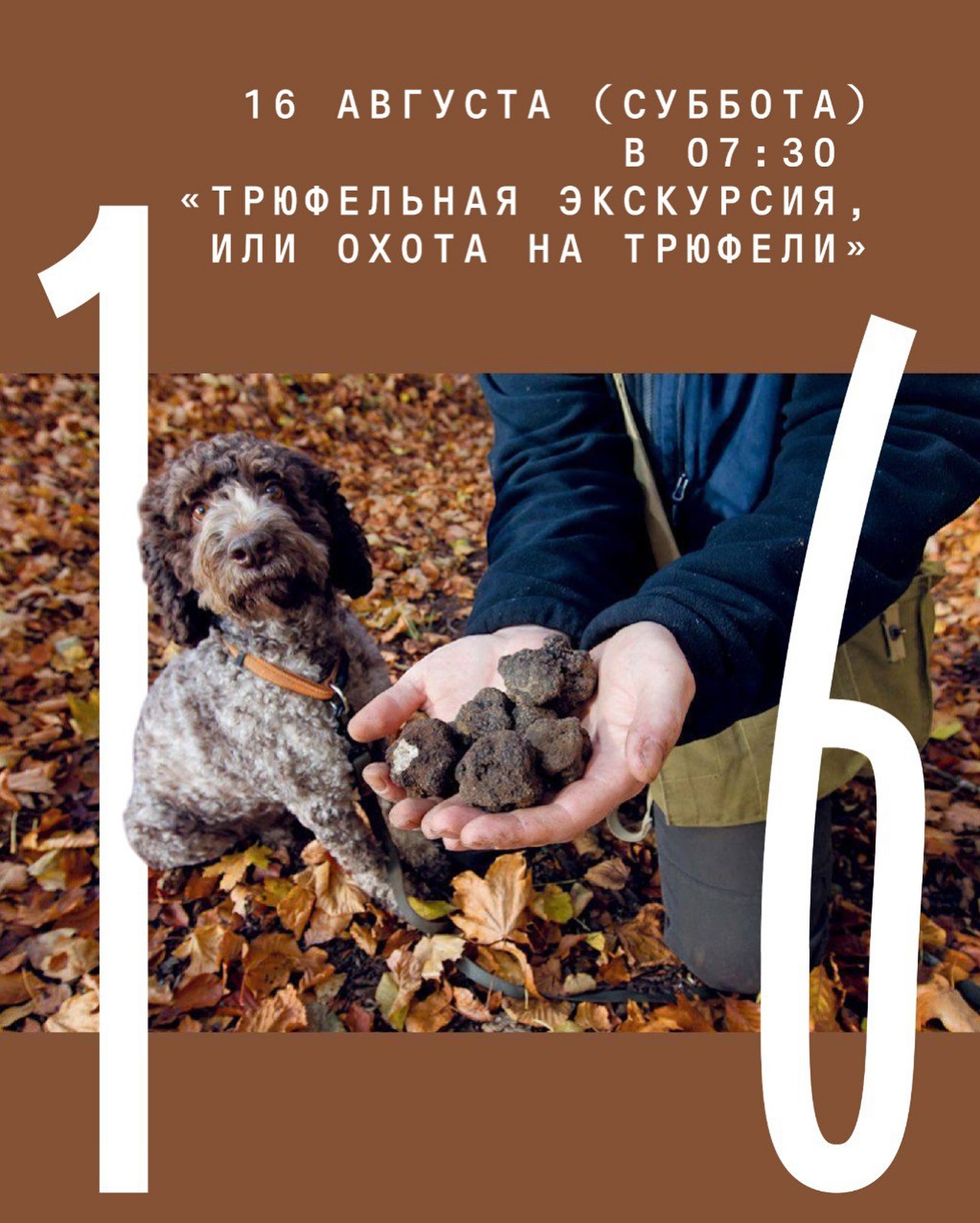 Truffle Tour