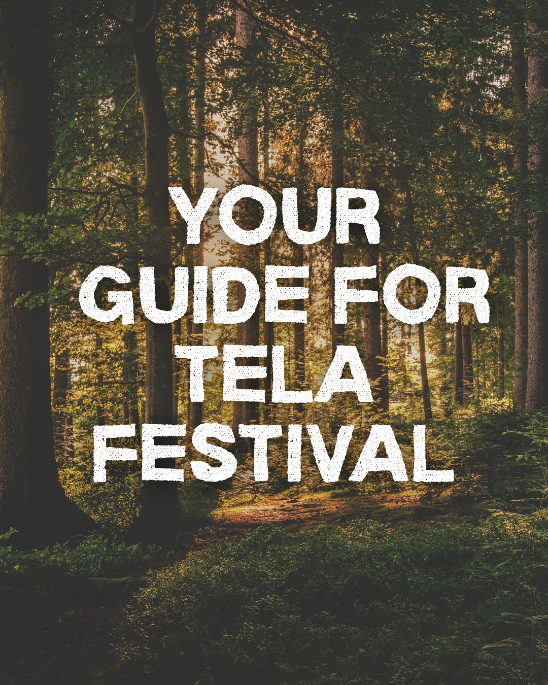 Everything You Need to Know About Tela Festival