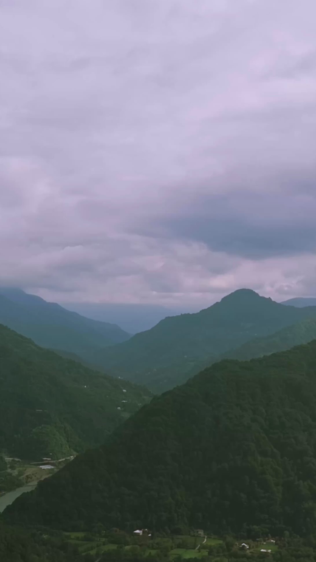 Hardgang Movement - Magical Nature in Batumi